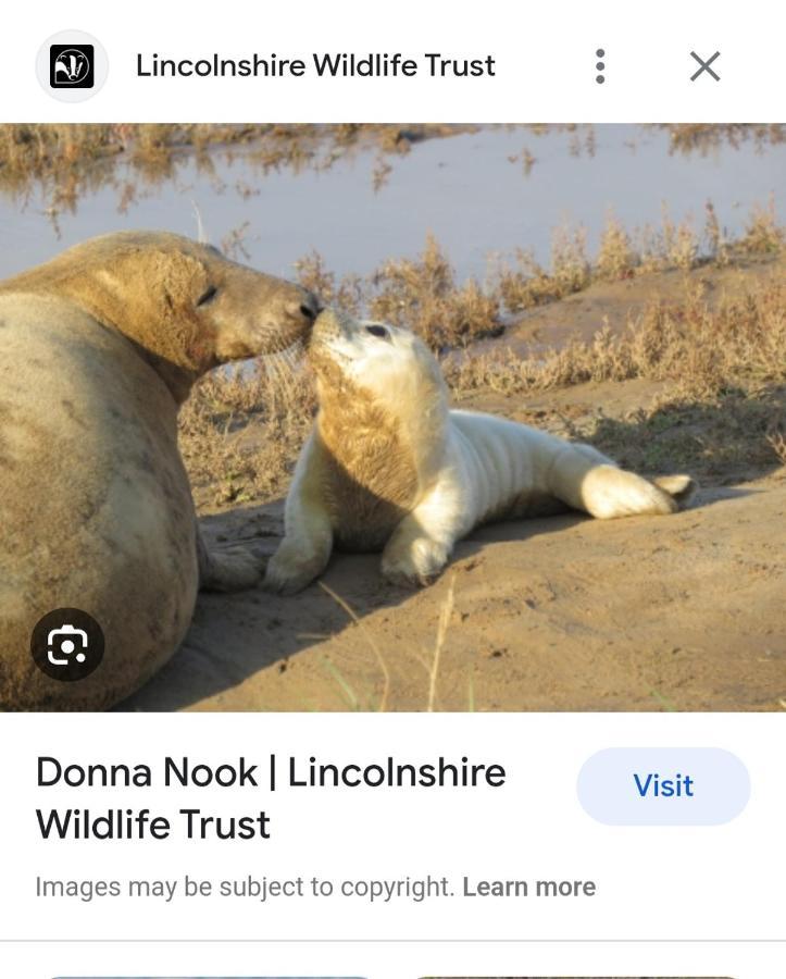 Вилла The Annex Theddlethorpe Lincolnshire Экстерьер фото